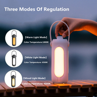 Portable Tent Lamp 10000mAh Built-in Battery Lantern BBQ Camping Light Outdoor Bulb USB Rechargeable LED Emergency Lights