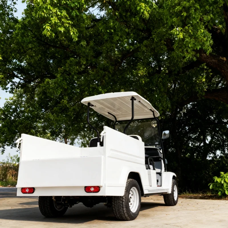 

Electric Golf Cart Adult Hunting Car Aluminum Wheels Electric Folding Cargo Cart With Rear Cargo Box Powerful Motor 5000W