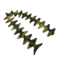 atfg
