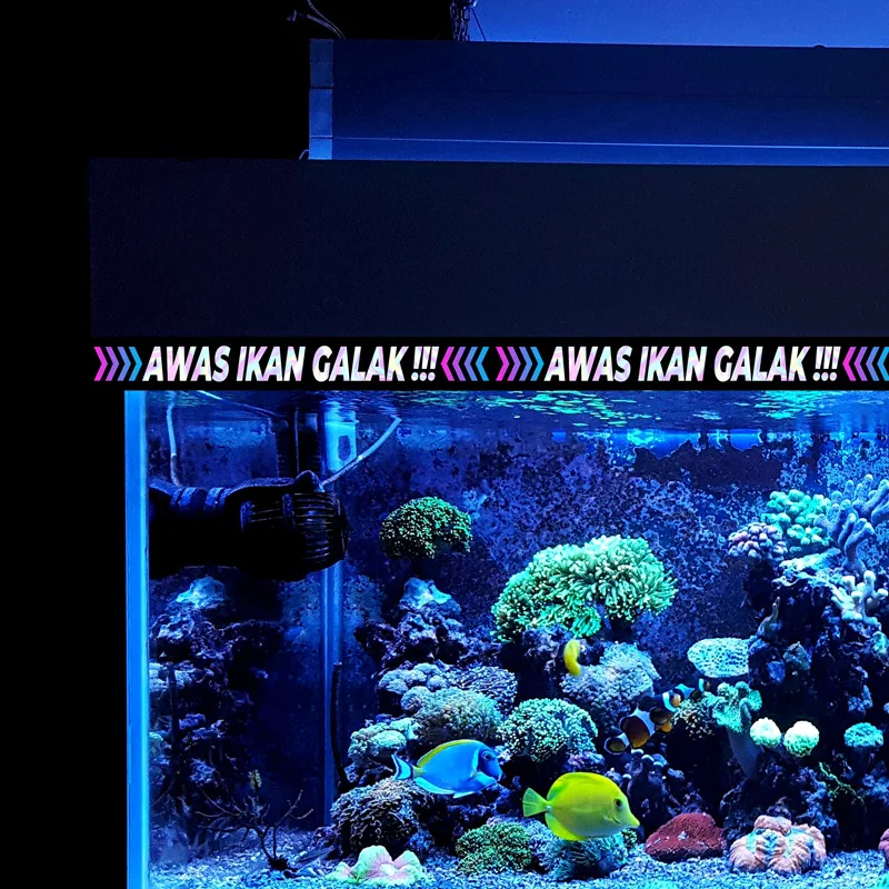 5M Laser Fish Tank Waterproof Luggage Side Sticker