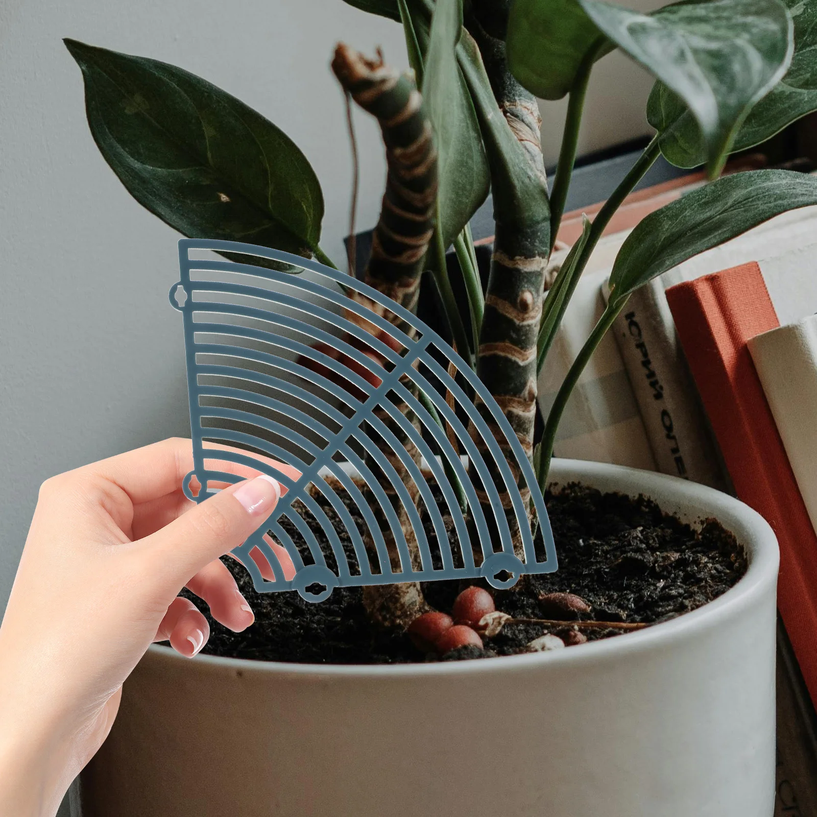 1 مجموعة غطاء وعاء النبات شبكة مستديرة متوسطة للقطط منع الحفر حامي النباتات الداخلية غطاء شبكة الزهرية #1