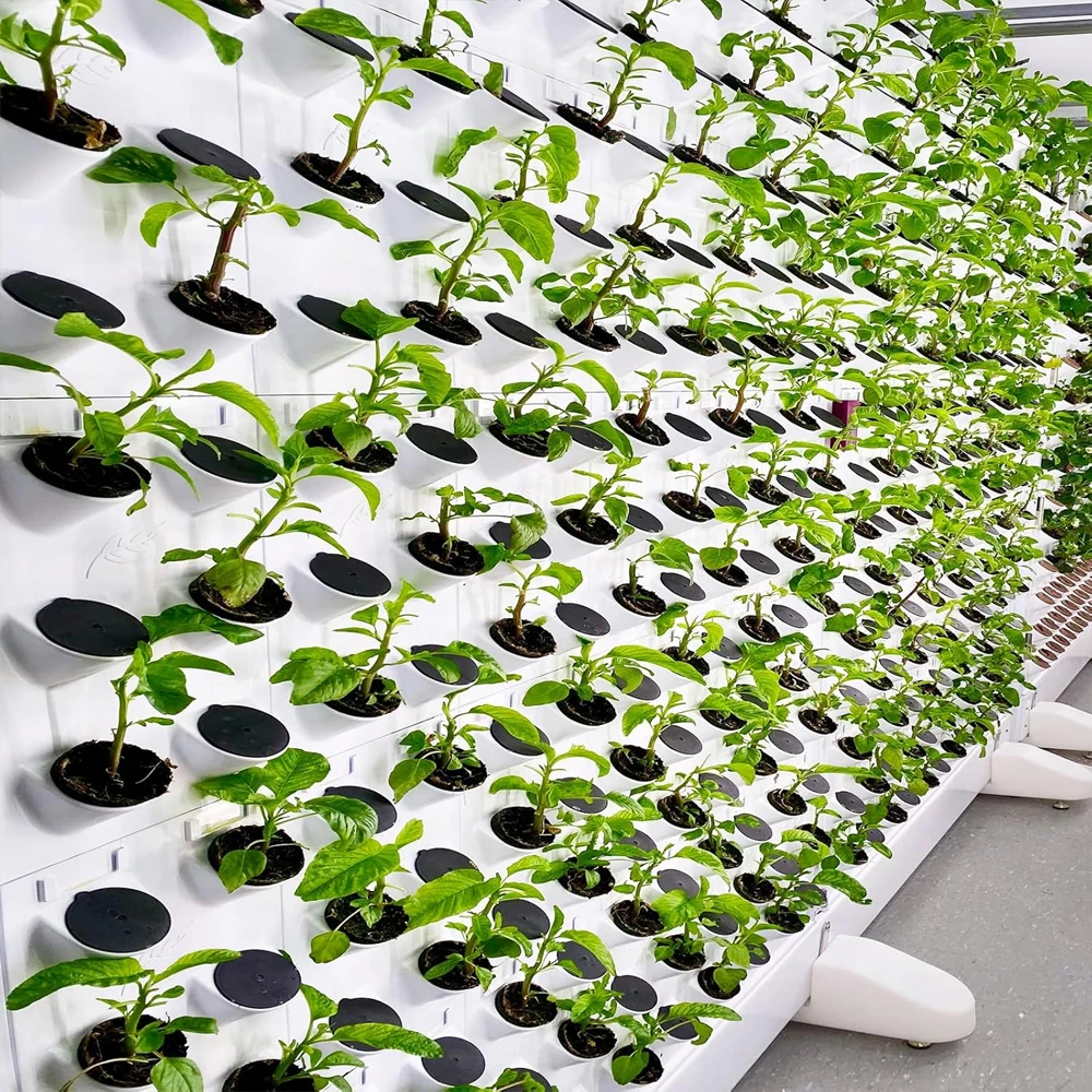 For Hydroponics Flower Pot Indoor Gardening Setup Air Circulation Flower Pot Hydroponics Air Circulation Enhancement