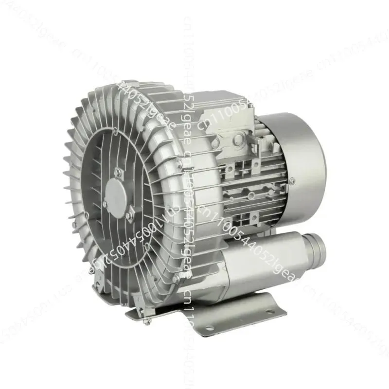 DC Brushless Swimming Pool Pump, Single-impeller Vortex Air Pump, Aeration Blower: Brushless Motor for Energy Efficiency