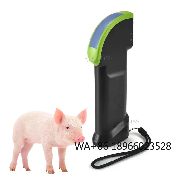 

LHWS4 Veterinary Wireless USG Machine Vet Ultrasound Probe Diagnosis Of Sows Sheep Goats