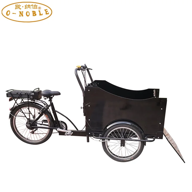 Cargo Bike China Family 3 Wheel Electric Cargo Bike 350W Motor