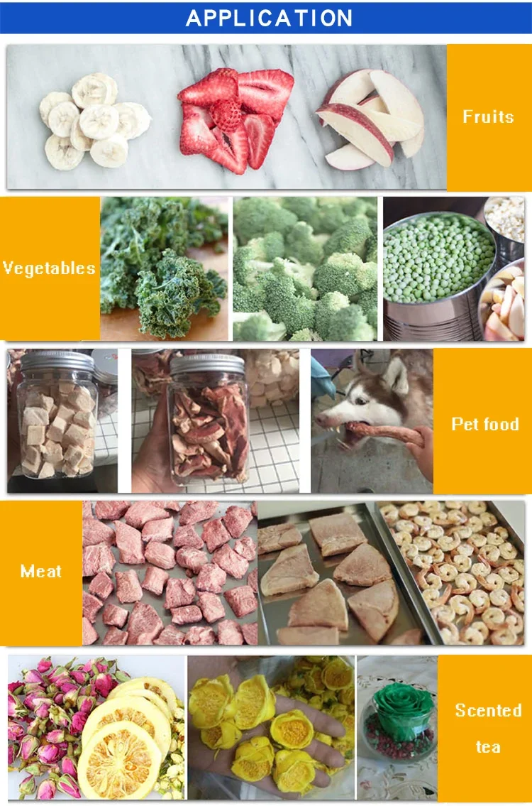 Food Fruit Vegetable Seafood Lyophilizer Vacuum Freeze Freezer Dryer Machine