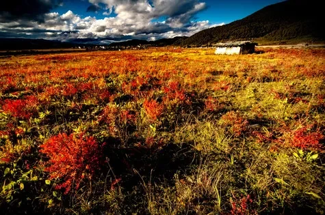 

Axisflying NAJA FPV Camera 1500TVL Night Vision 16:9/4:3 NTSC/PAL Low Latency HD 125° Wide Angle for RC FPV Drone Accessories