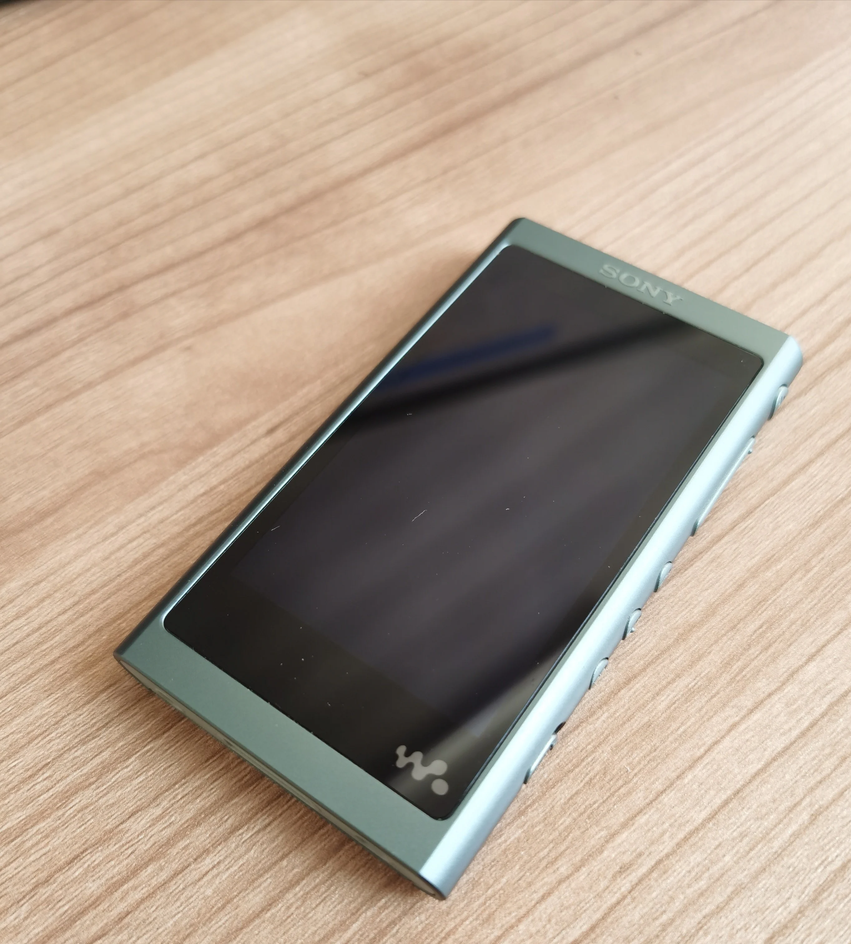 New Sony NW-A55 16GB High-Resolution Digital Music Player Walkman(No Original Box)