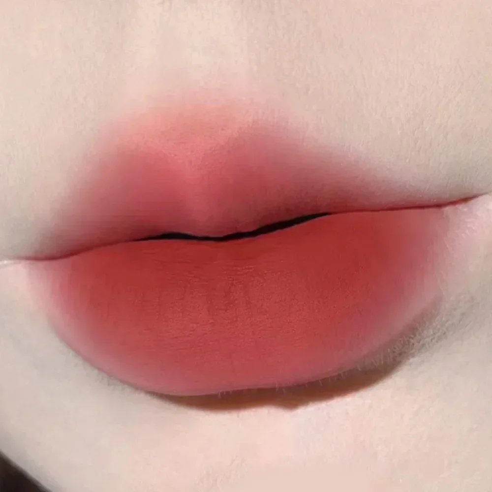 HERORANGE lápiz labial líquido con aplicador de cojín brillo de labios mate de terciopelo hidratante rubor suave cosméticos de maquillaje multiusos