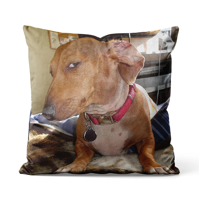 

Gaslight Gatekeep Girlboss Giving Side Eye Dachshund Dog Throw Pillow Covers Cushion Cases for Couch Sofa Bedroom 45cm x 45cm