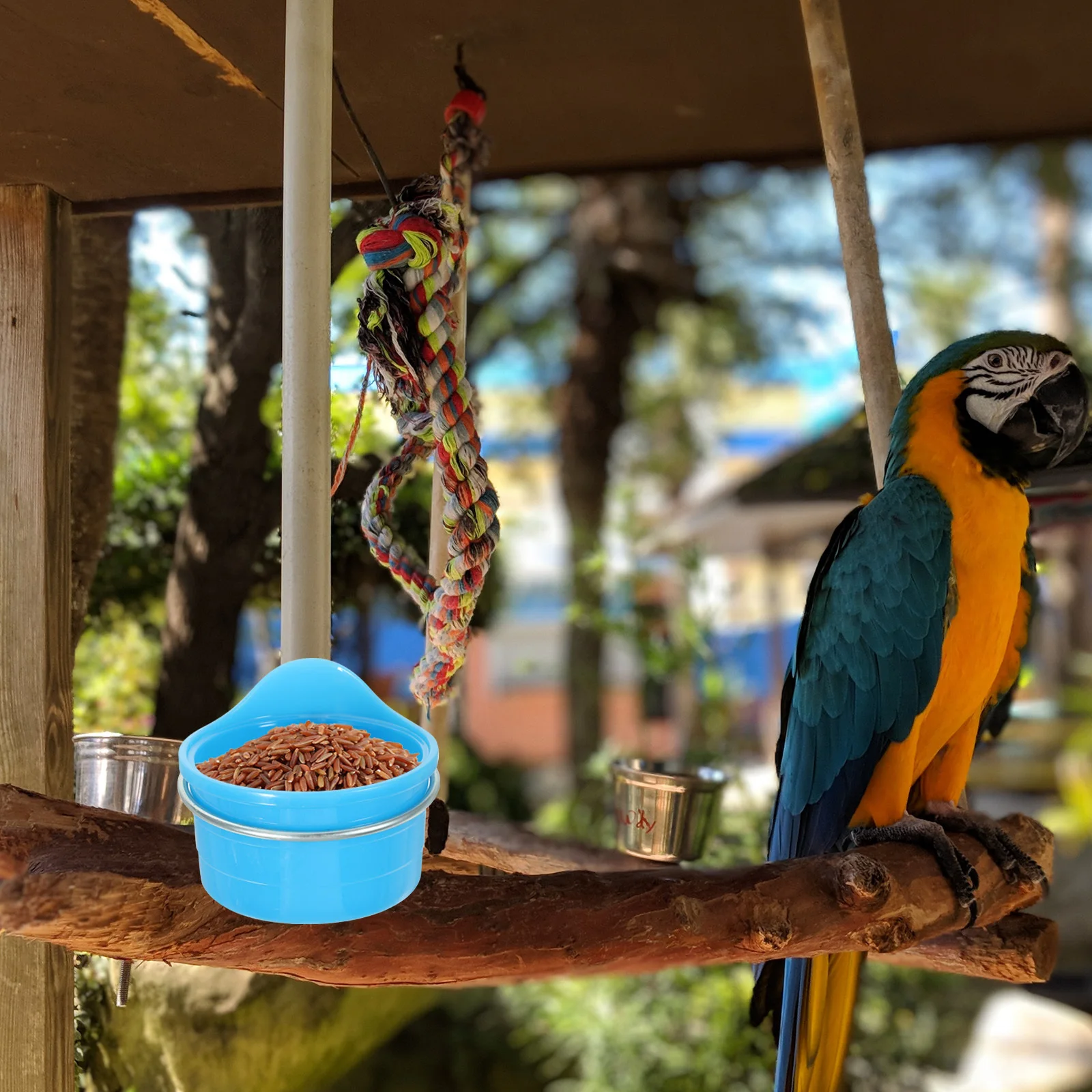 

2Pcs Parrot Food Organizer Hangable Bird Cage Bowl Scratch Resistant Lightweight Feeder for Daily Use Ideal Gift for Bird Lovers