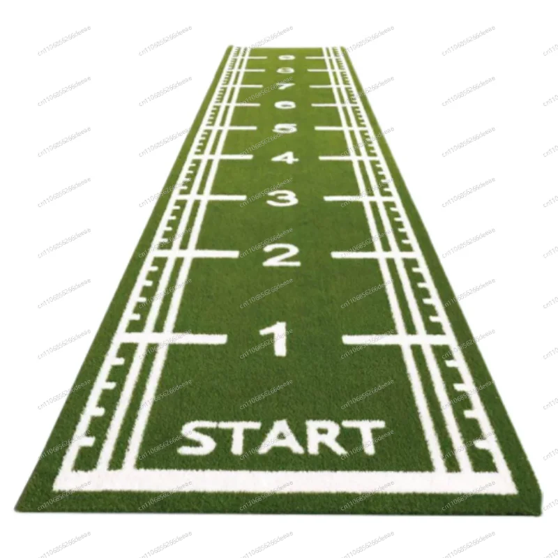 Gym & Private Classroom White Line Runway Custom Scale Sled Artificial Turf Carpet, Customized Fake Lawn