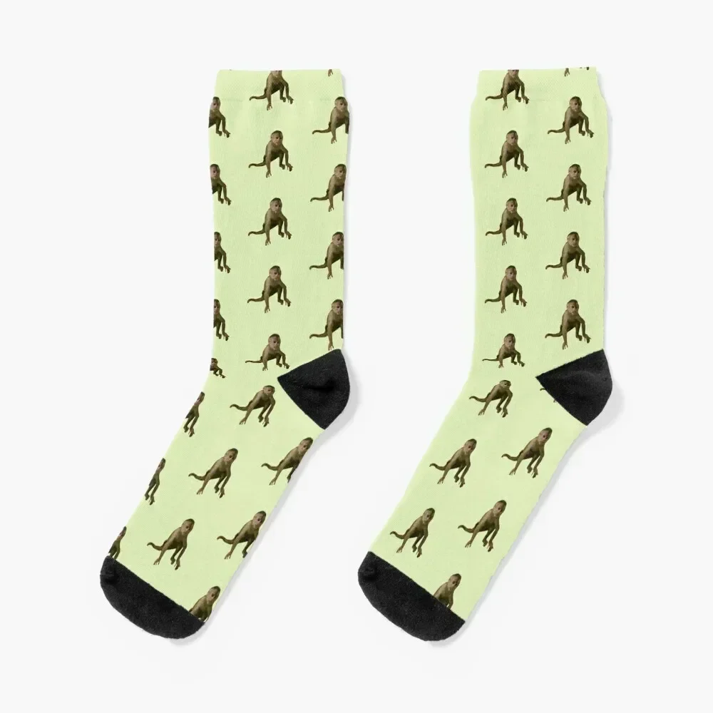 

Capuchin Monkey Socks short cute designer Socks Men Women's