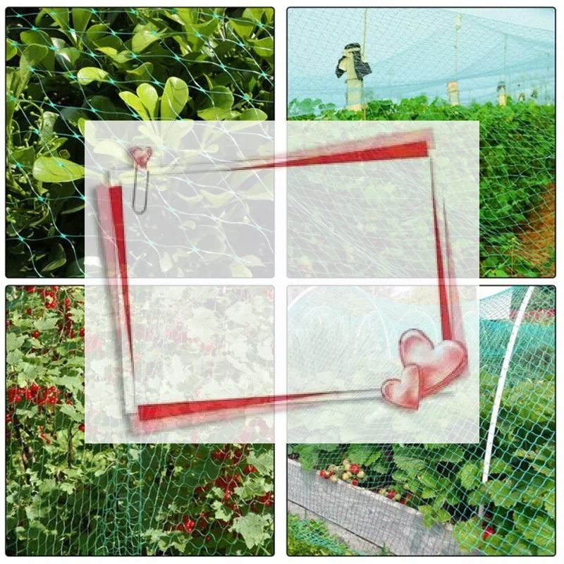 Garden Netting Bird Protection - Trellis Grid Pest Fencing Net For Vegetables, Plants, Flowers & Fruit Trees, Stops Birds