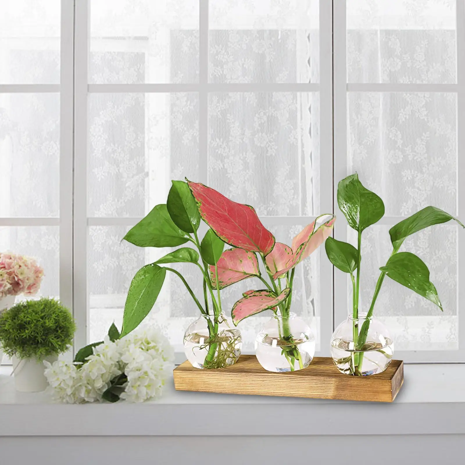 Vase en verre transparent avec base en bois, bouteille créative, pot de propagation