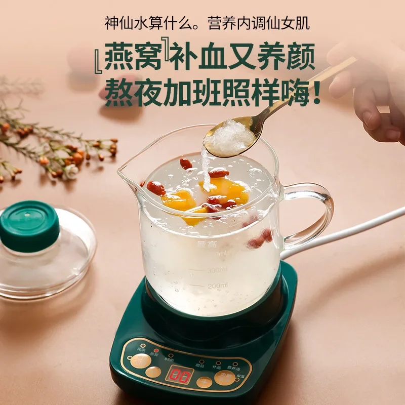 110V/220V Electric Kettle Ceramic Tea Warmer Health Care Overheat Protection for Japan USA Canada BDA