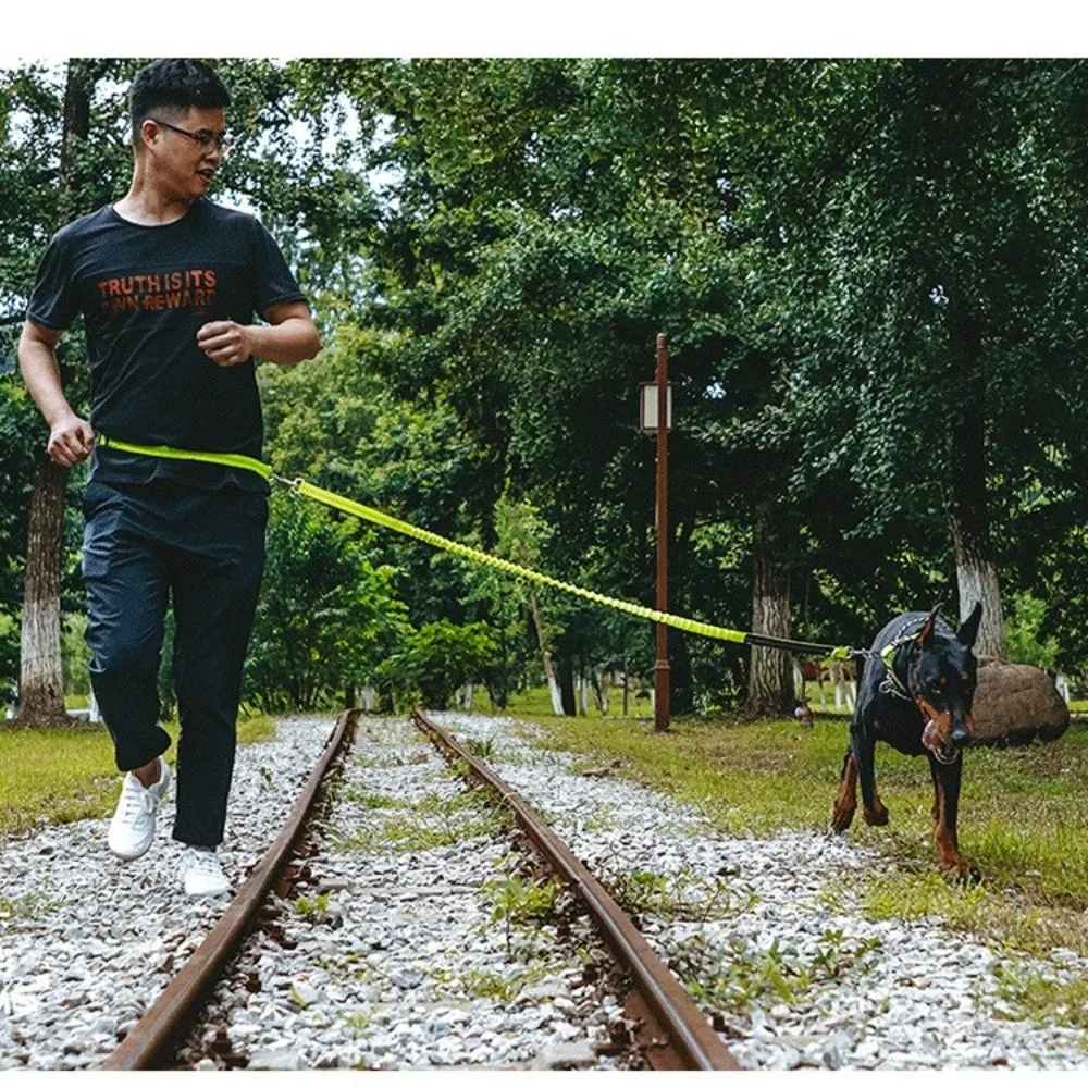 اكسسوارات الكلاب مزدوجة تمتد الحيوانات الأليفة المشي المقود عاكس مطاطا تشغيل الكلب المقود حزام الخصر اليد الحرة الكلب المقود الركض