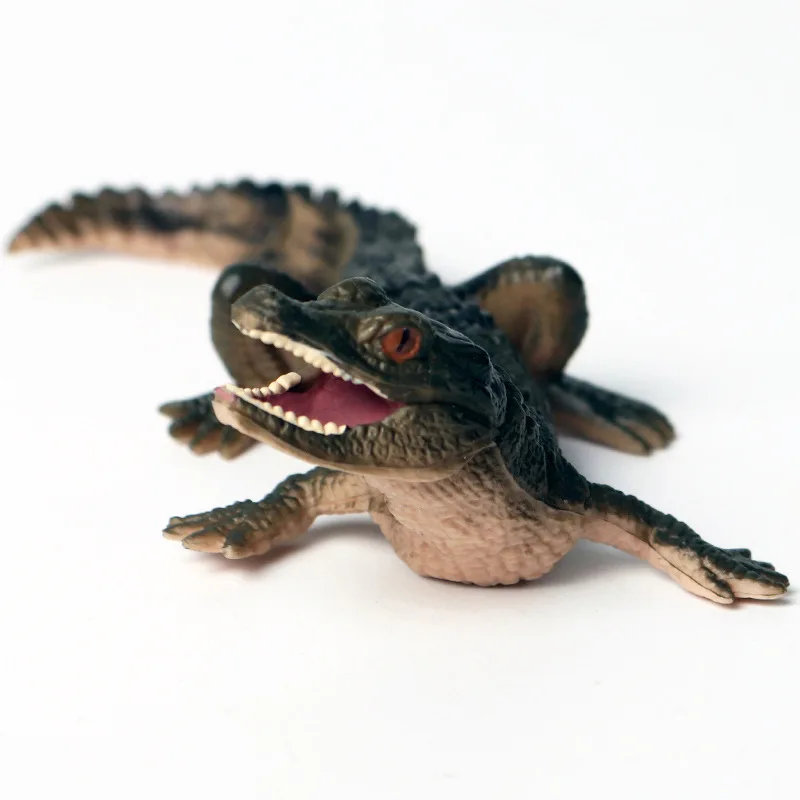 Simulation wildlife model crocodile alligator alligator amphibian crocodile model solid toy