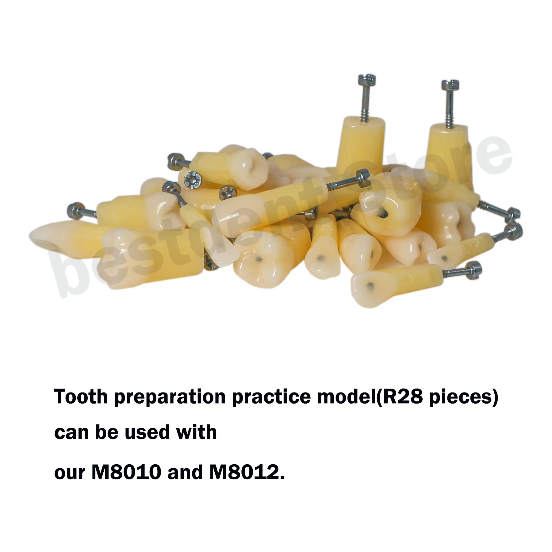 M8024-1 Dental Tooth Model Replacement Preparation Practice Model 28 Pieces with M8012