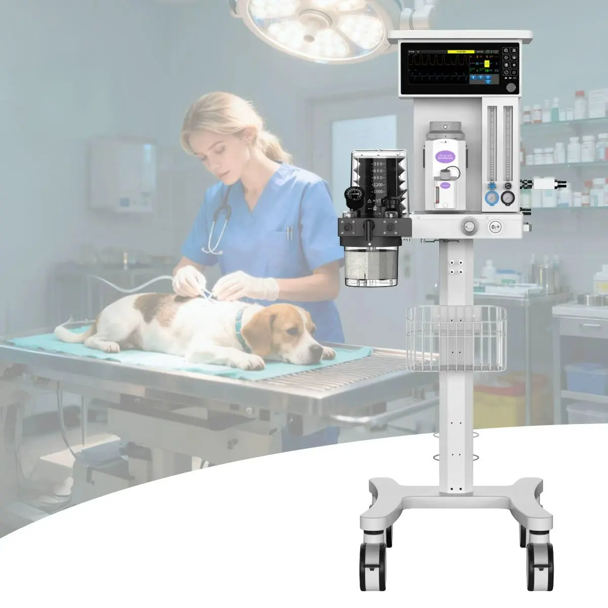 Highly Secure Anesthesia Machine Complete with Patient Monitors Mquina De Anestesia Veterinaria