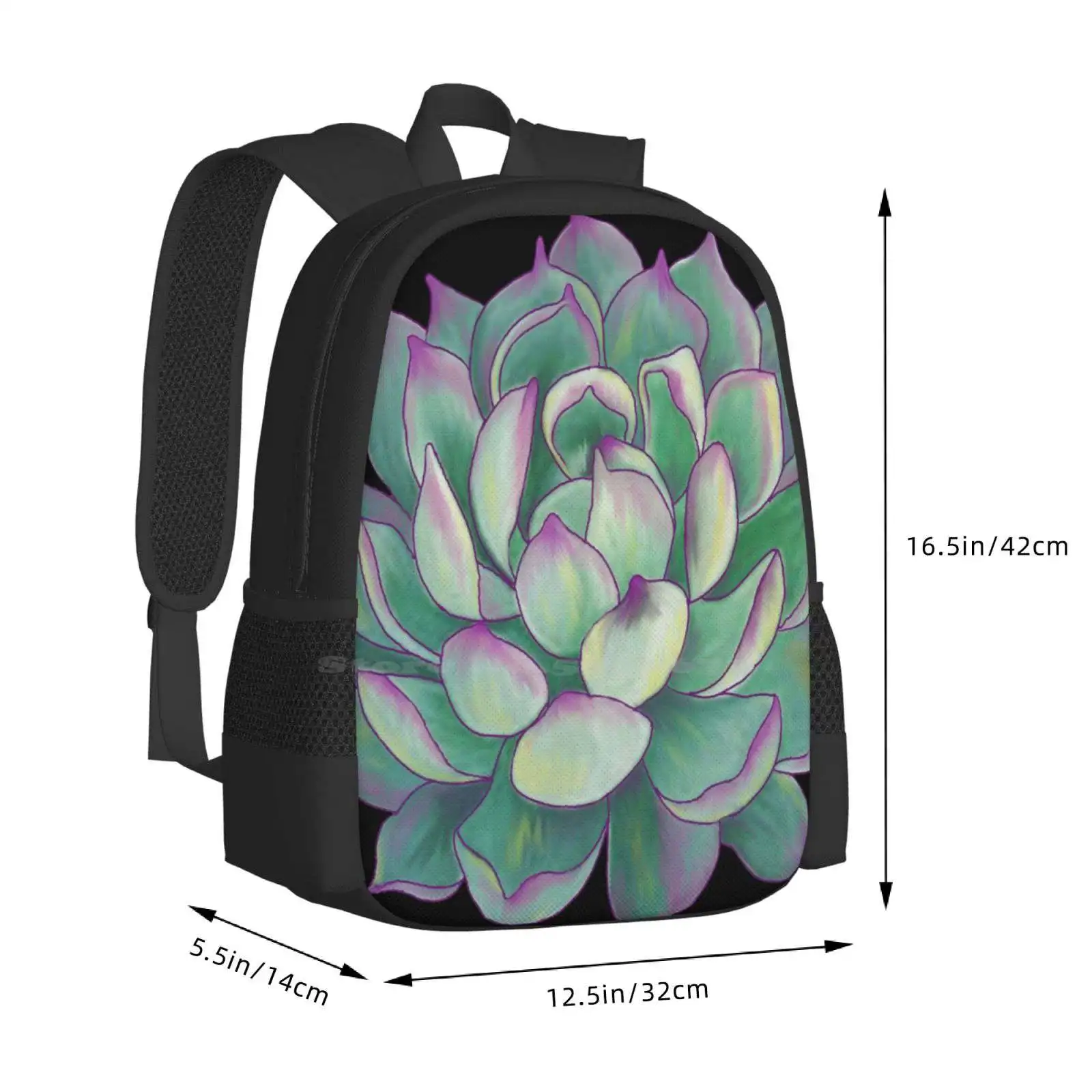 Sukkulente Pflanzen muster Design Laptop Reise Schult aschen Sukkulenten Wüste Natur Garten Kaktus grüne Blume Blumen botanisch