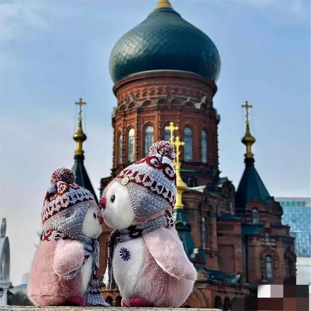 Harbin Polar Penguin knuffel schattig dier gevuld pop zacht souvenir cadeau uit China Travel Memorial collectible