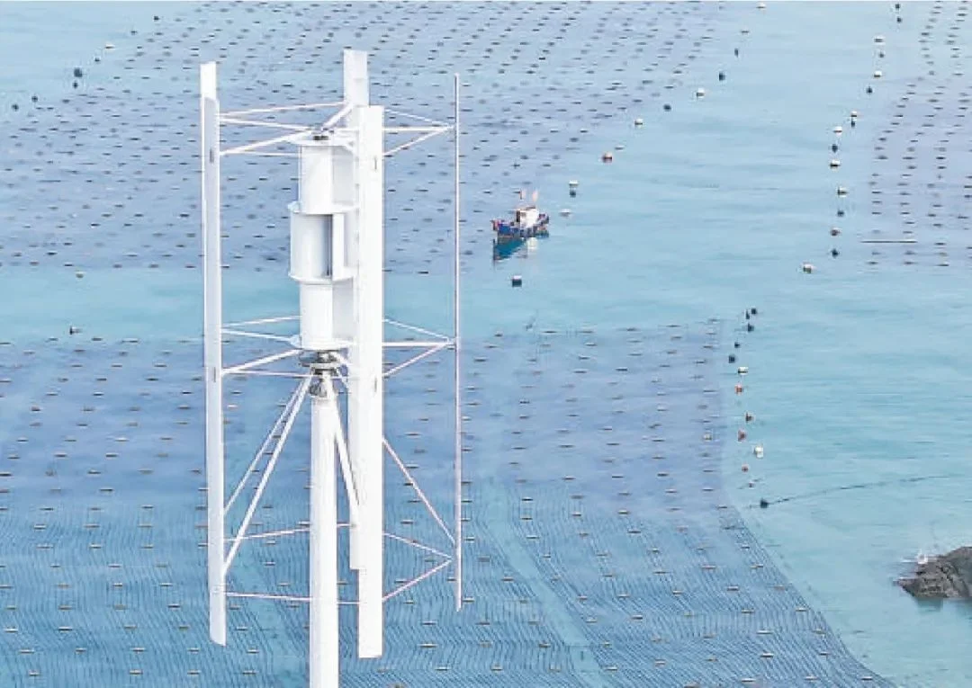 Vertical Wind Turbine Generator Windmill 100KW 80KW 60KW 3 Blades 48V 120V 230V 380V Permanent Magnet Generator 220V AC Output