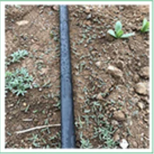 2025Other سقي 16 مللي متر نظام الري بالتنقيط أنابيب الري تصميم نظام الري تصميم مجموعة الشريط المنطقي