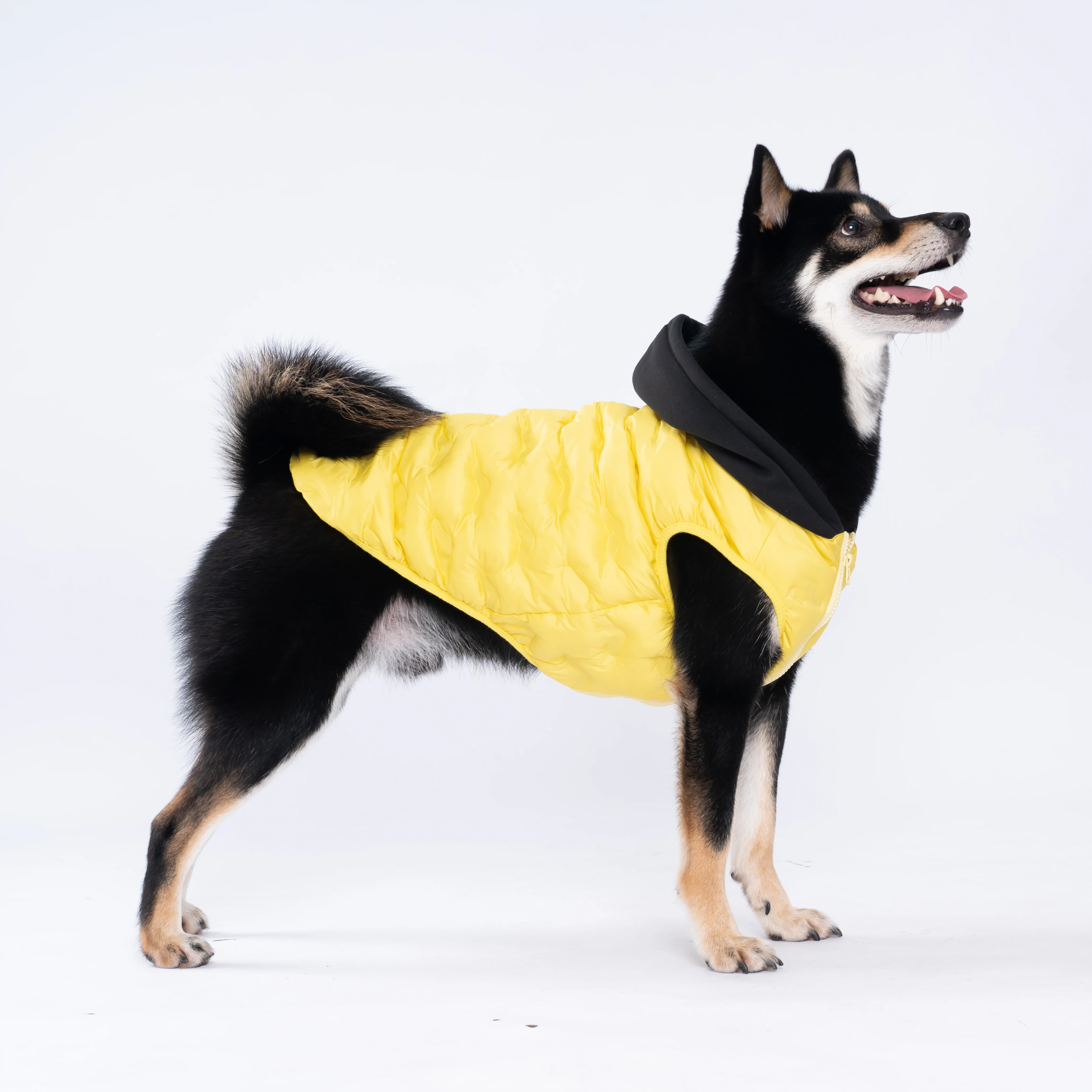 

Dog Outdoor Jacket Warm Puppy Hoodies for clothes Chihuahua Clothing For Dogs Large Middle Dogs Labrador French Bulldog Vest