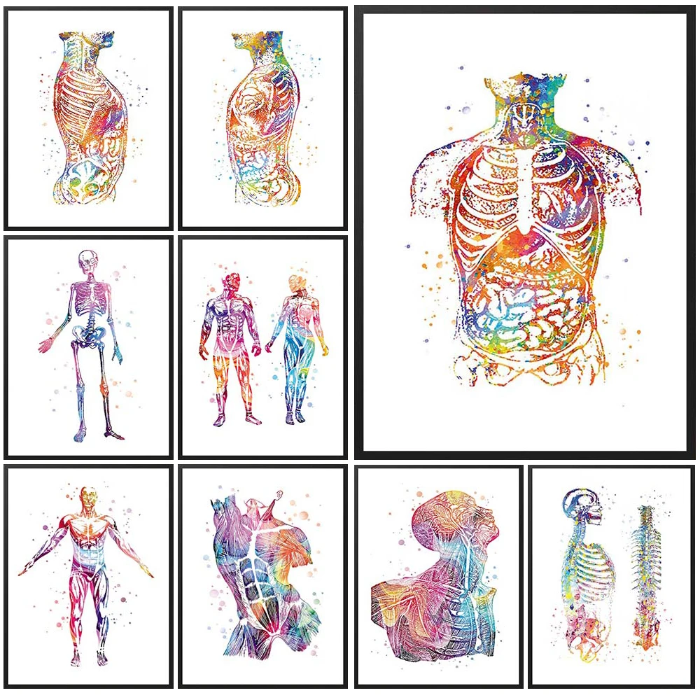 Watercolor Orthopaedics Bones Skull Prints Poster Wall Art Canvas Painting Home Decor Wall Pictures For Living Room Unframed