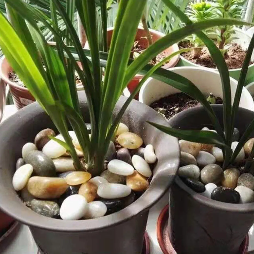 

3 Packs Aquarium Rocks Pebbles Gravel for Succulents Small Rocks For Plants Planters L scape Garden DIY Stones