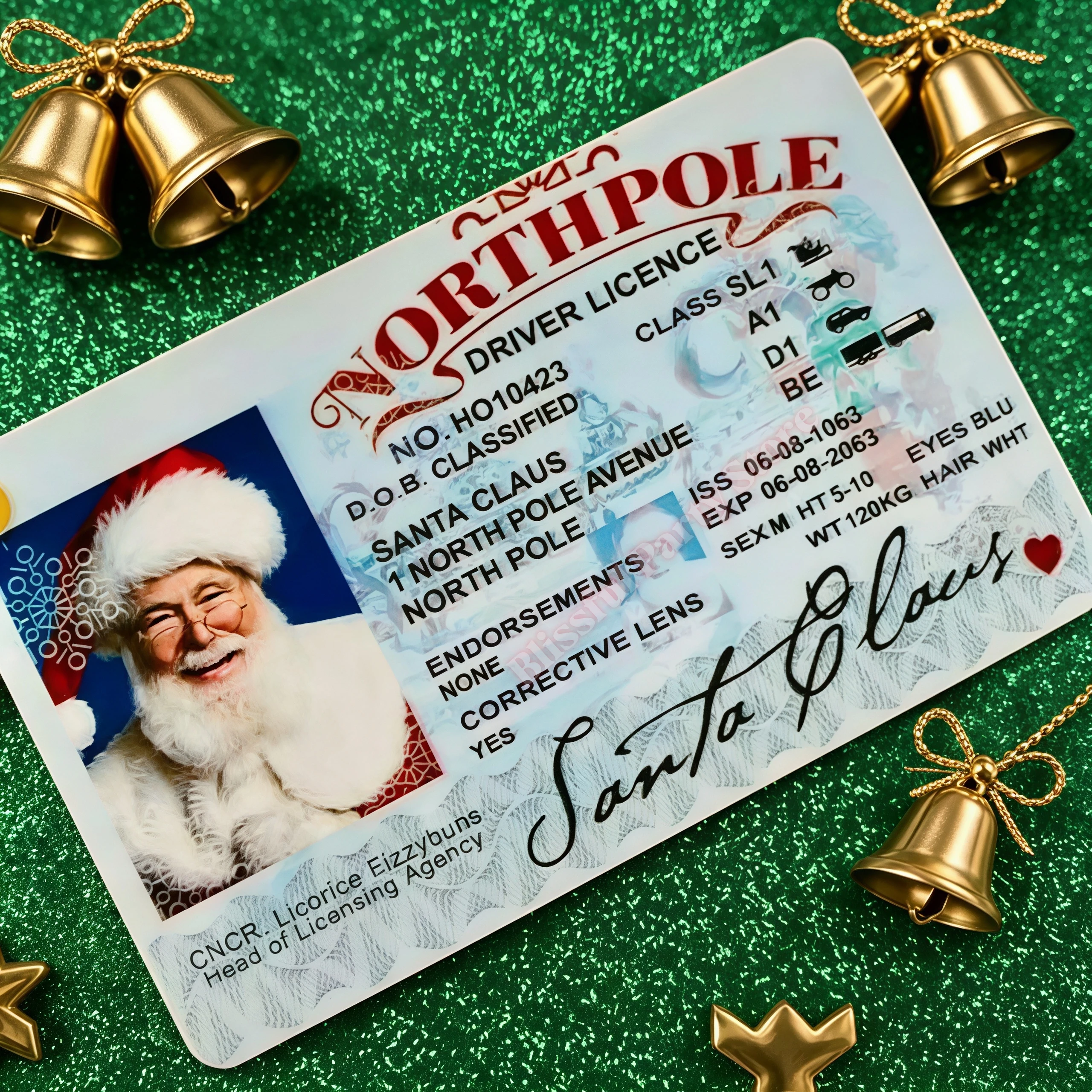 Novelty Santa Claus North Pole ID Card Creative Christmas Eve Driving Flight License Card Fun Keepsake Gift Christmas Decoration