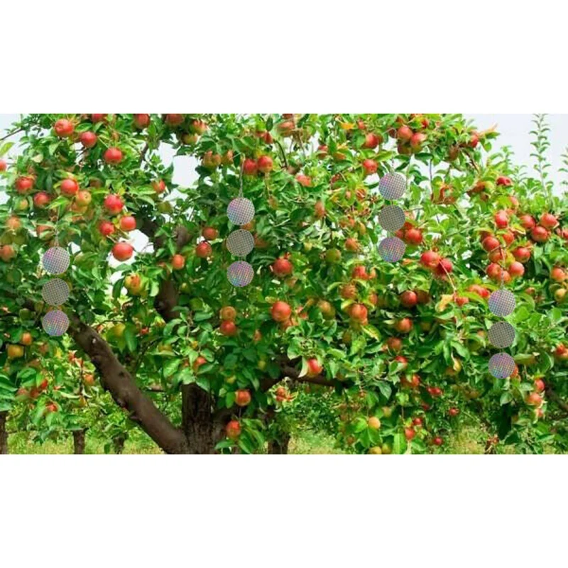 High-end 24PCS/Set Bird Repellent Discs Reflective Hanging Device to Keep Birds Away Like Woodpeckers for Pigeons Woodpeckers