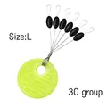 L 30 group