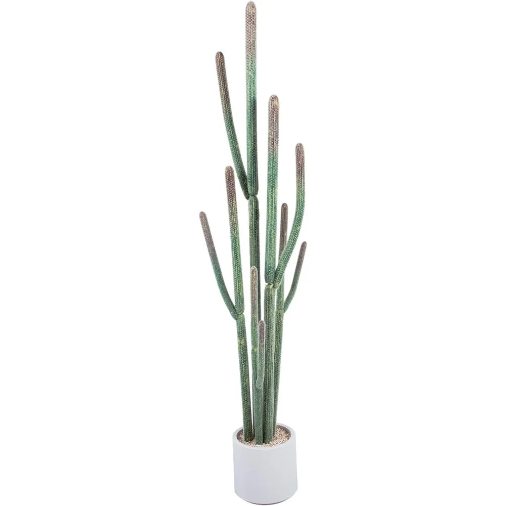 

Tall Fake Cactus Plant, 62 Inch Realistic Texture Tall Fake Plant, Artificial Cactus Paired with White Flowerpot