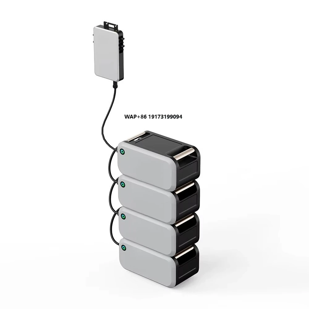 

Easy Installation on Grid 800W Micro Inverter 1200W PV Hub Home Balcony Power Plant Solar System With LiFePO4 2KWH Battery