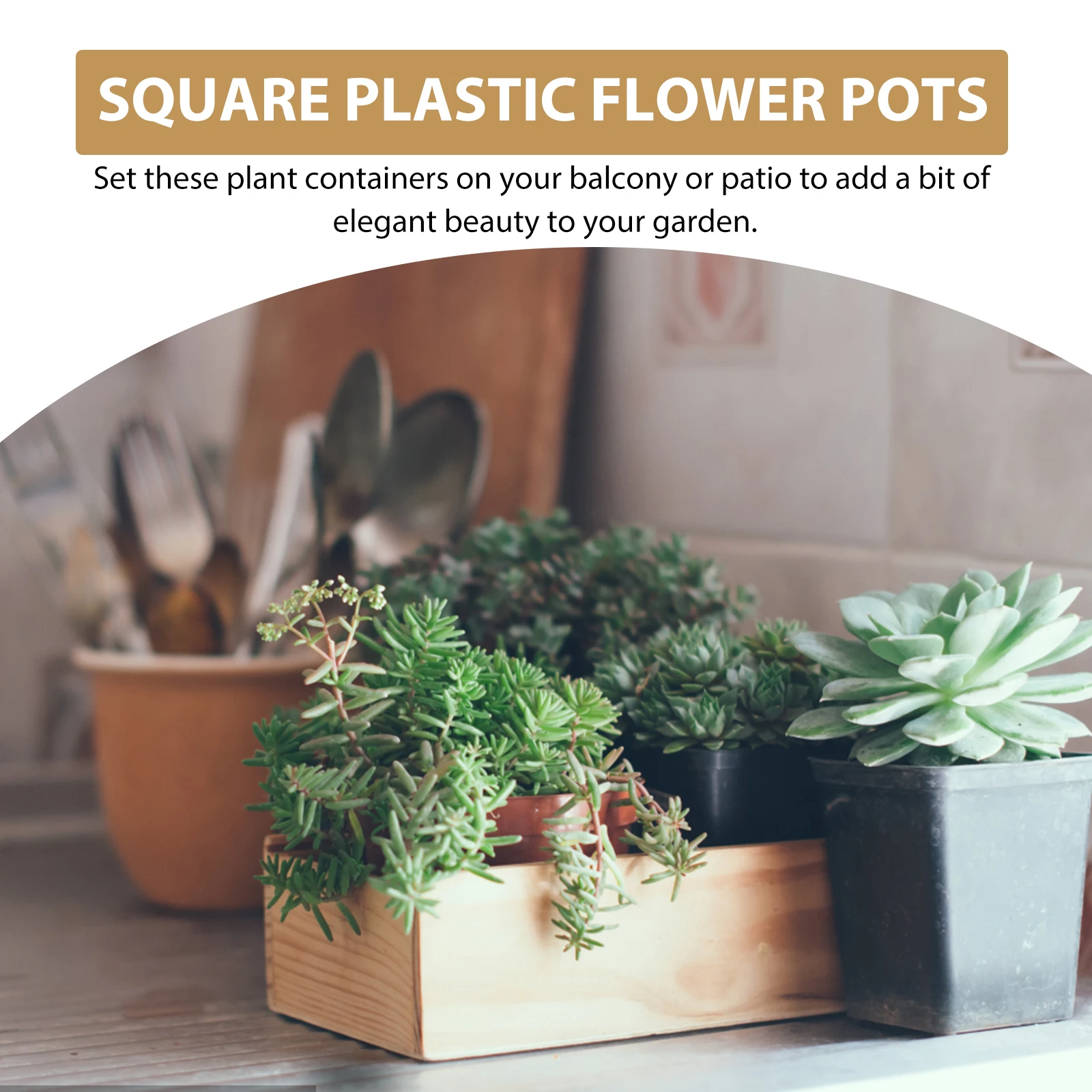 

50Pcs Plastic Flower Pots Small Square Durable Nursery Seedling Containers for Succulents Cuttings Balcony Patio Garden with