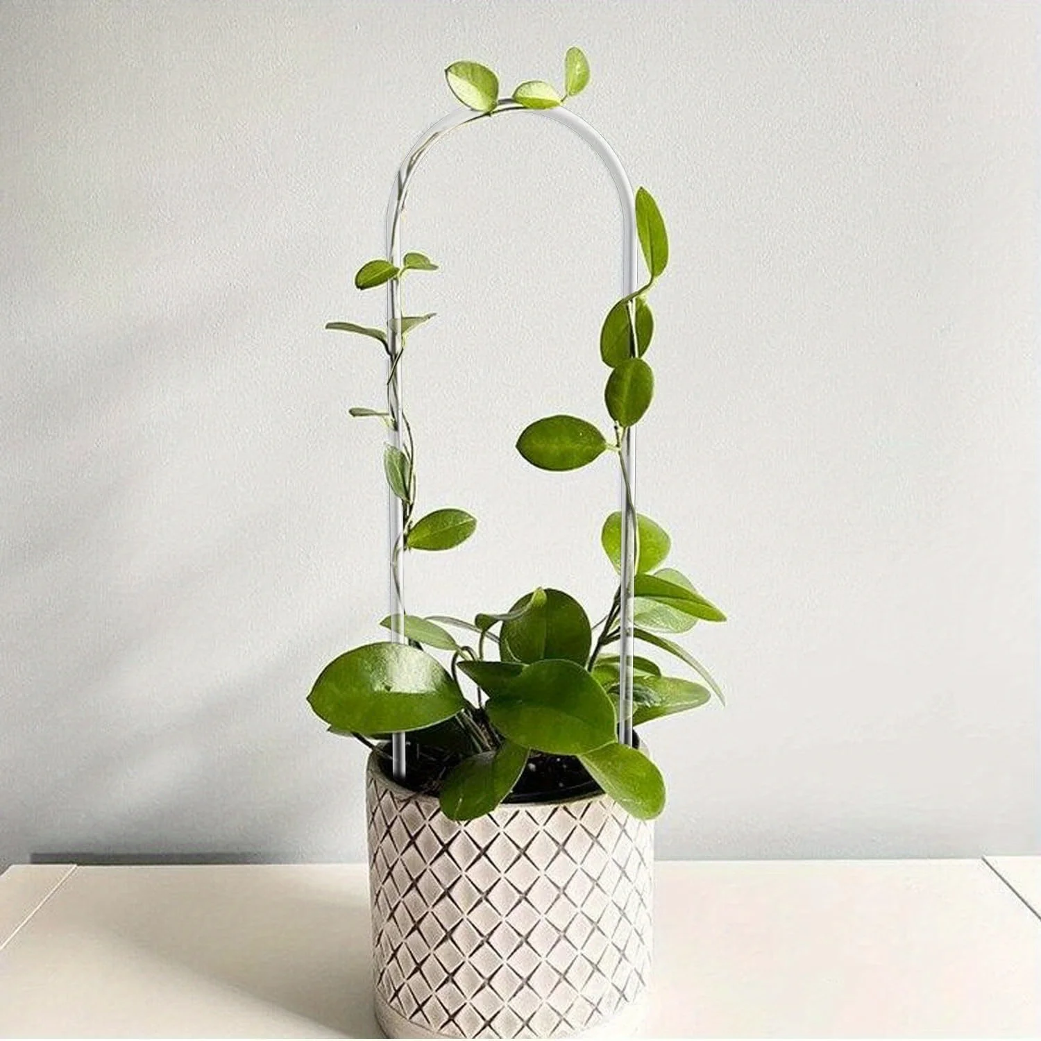 U-shaped acrylic plant climbing frame, transparent and durable, suitable for indoor vine and flower pot support