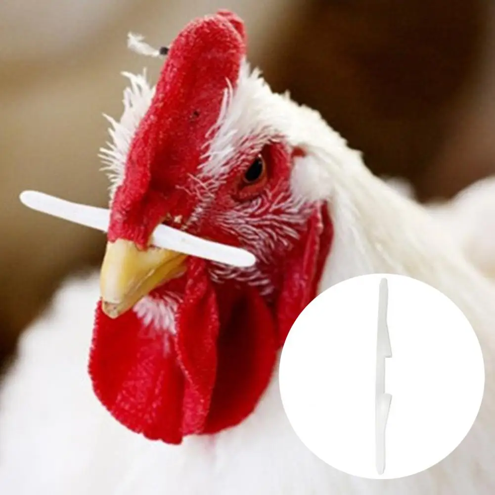 

1000Pcs Chicken Nose Bolt Effective Prevent Rooster Eating Plastic Cock Nasal Rod Striking Stick for Poultry