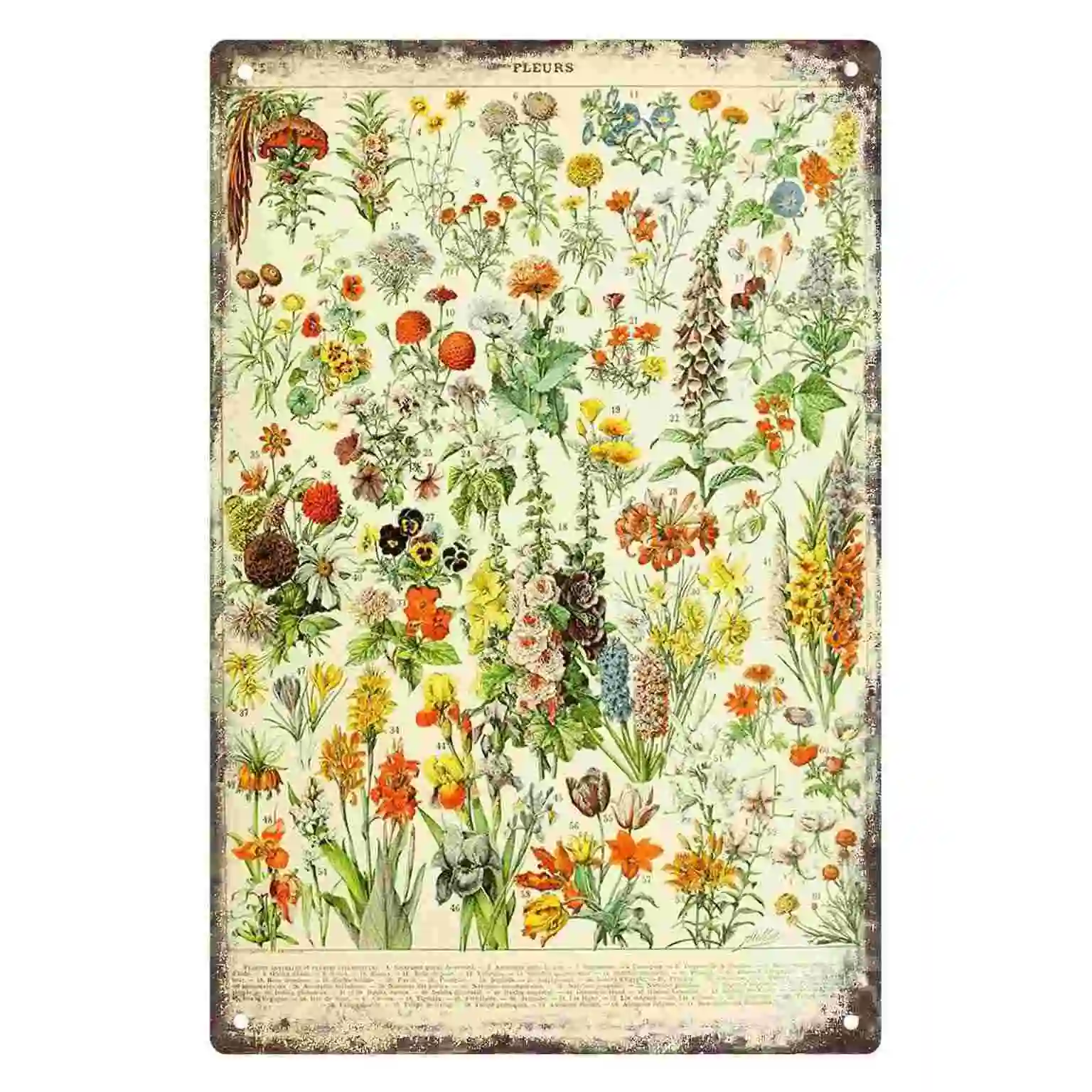 2D FLAT 1pc Vintage Botanical Flower Chart Metal Wall Sign Decoration for Home Cafe Garage Bedroom Porch And Garden