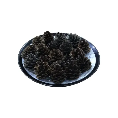 AMORMAN 30 Pcs Hundred percent Natural Additive-Free Decorative Pinecone