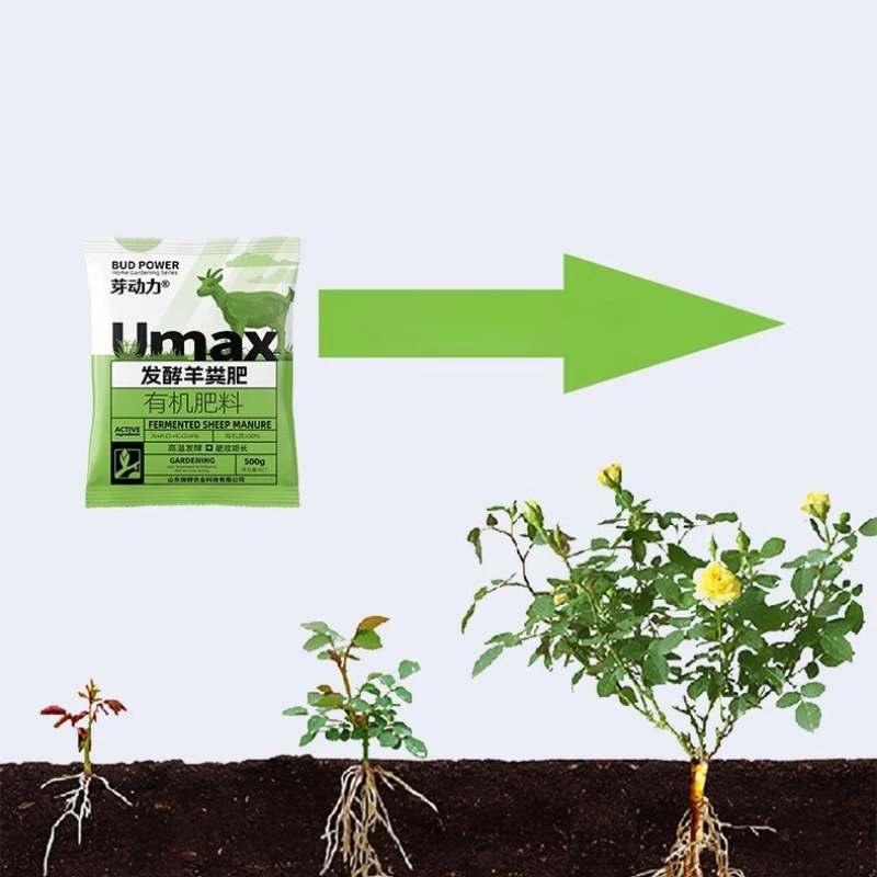 50/500 جرام البستنة المنزلية المخمرة الأغنام السماد كعكة السمسم المخمرة للزهور والنباتات الخضراء الأسمدة العضوية