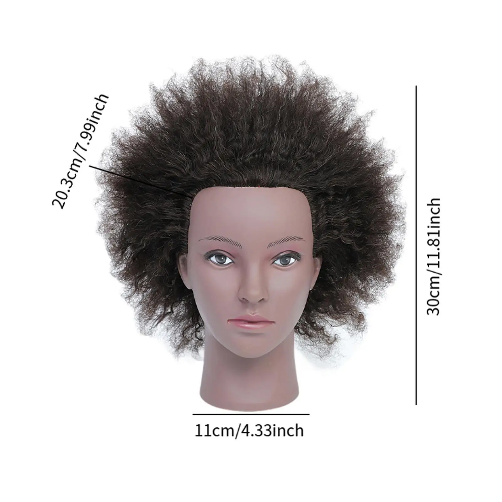 رأس عارضة أزياء مع رأس تجميل أفريقي مجعد لتصفيف الشعر