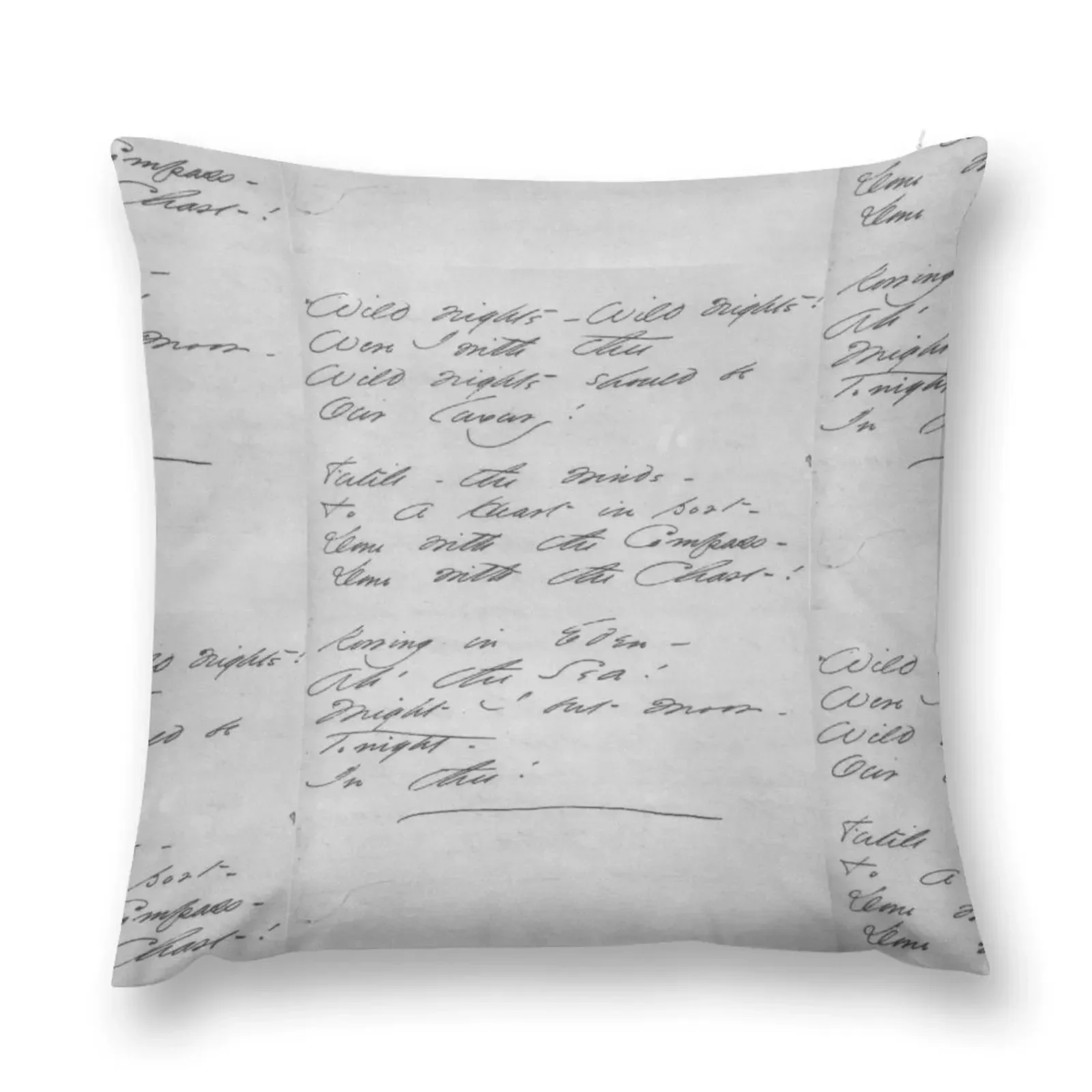 Emily Dickinson “Wild Nights – Wild Nights!” manuscript Throw Pillow Embroidered Cushion Cover Decorative pillowcase pillow