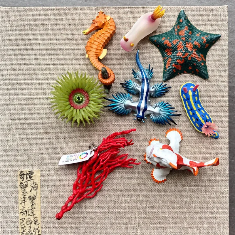 KITAN CLUB Gashapon Sea Star Seahorse Algae Model Fridge Magnet Gacahpon Stereogram Sea Life Capsule Toy Figure Collectible