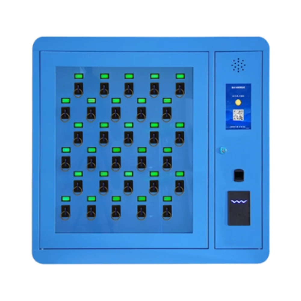 High Security Self-Service Smart Lock Key Management Cabinet RFID System Wall Mounted for Car Dealership Electronic Lock