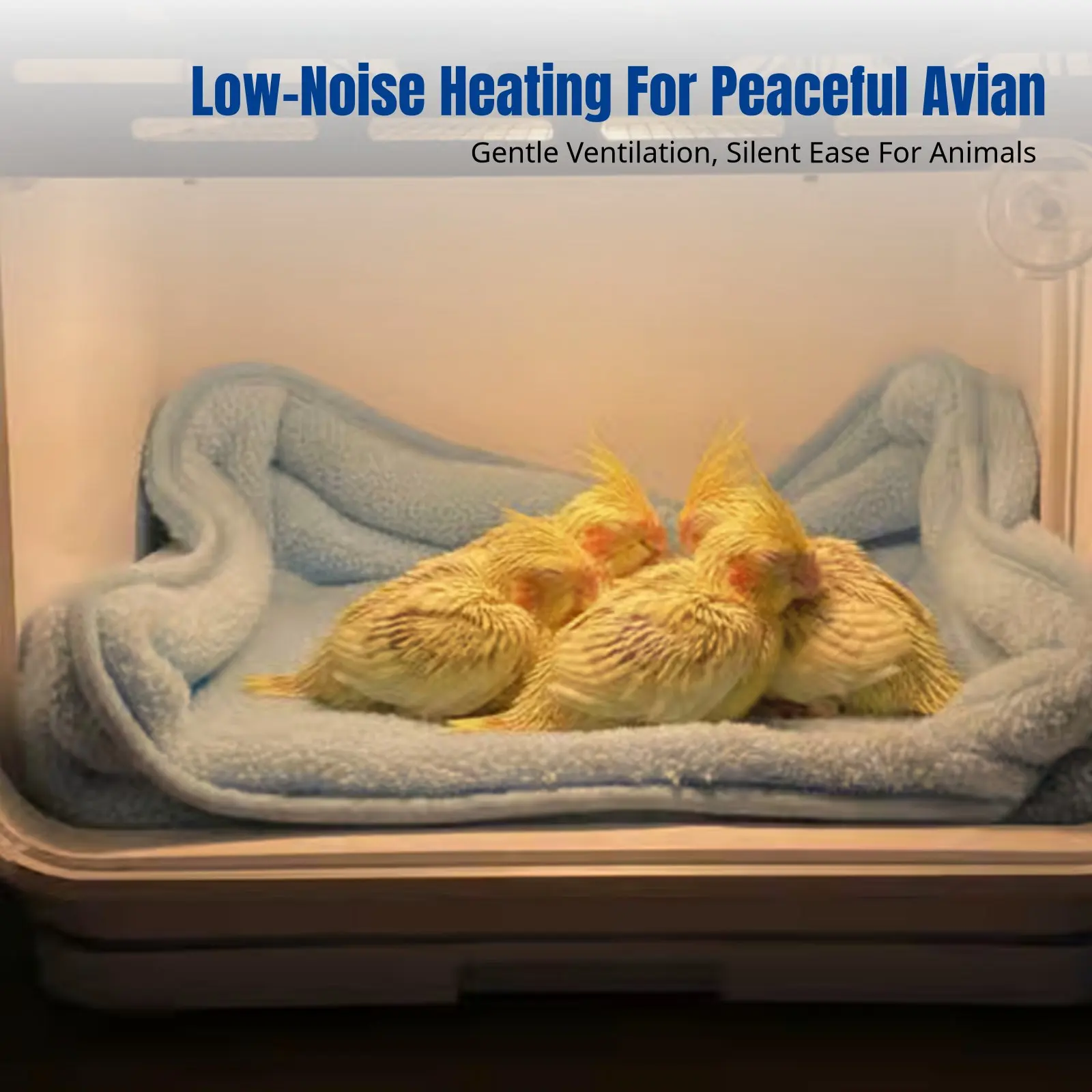 

Universal Pet Bird Incubator, Intelligent Wind Heating Brooder, Dual Screen Thermostat, For Chicks, Cockatiel, Lovebird, PP