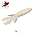PA12
