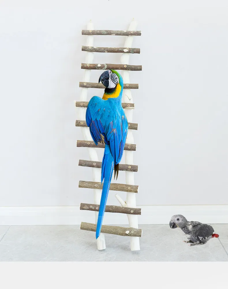 Big parrot stand, branch bird , floor-to-ceiling bird training stand, oversized , log bird stand, medium and large sup