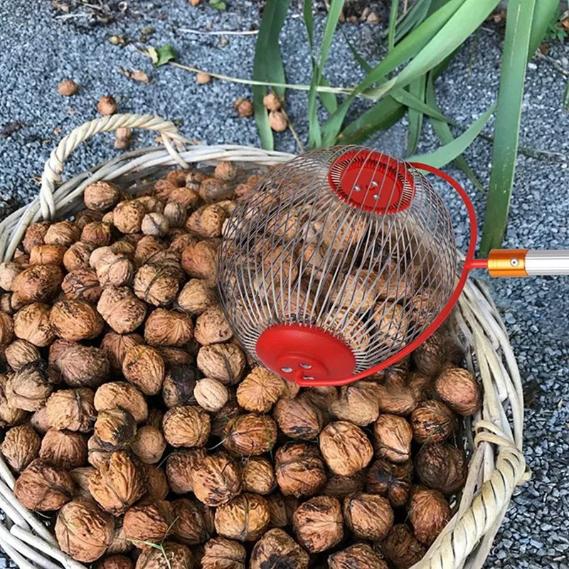 Nut Picker Garden Nut Stainless Steel Drum Suitable For Apple, Acorn, Pine Cone, Walnut Waste Collection